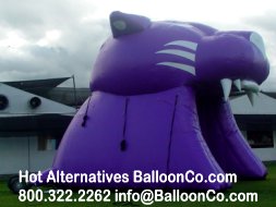 Paschal High School Forth Worth TX Carolina Style Panthers Football Mascot Tunnel